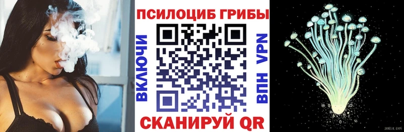 kraken ссылки  где купить   Черноголовка  Галлюциногенные грибы Magic Shrooms 