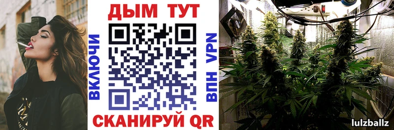 Шишки марихуана VHQ  Черноголовка 